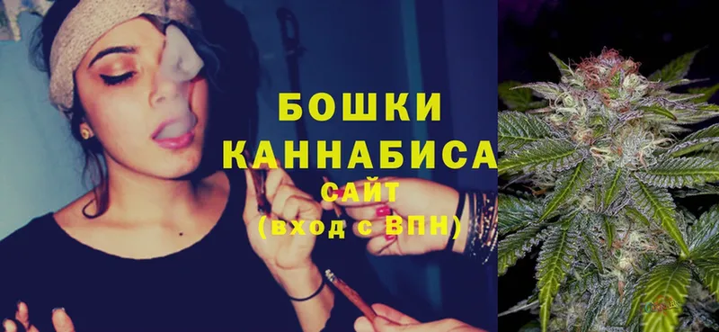 Бошки марихуана SATIVA & INDICA  продажа наркотиков  Вышний Волочёк 